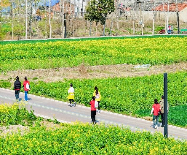 如图片无法显示,请刷新页面