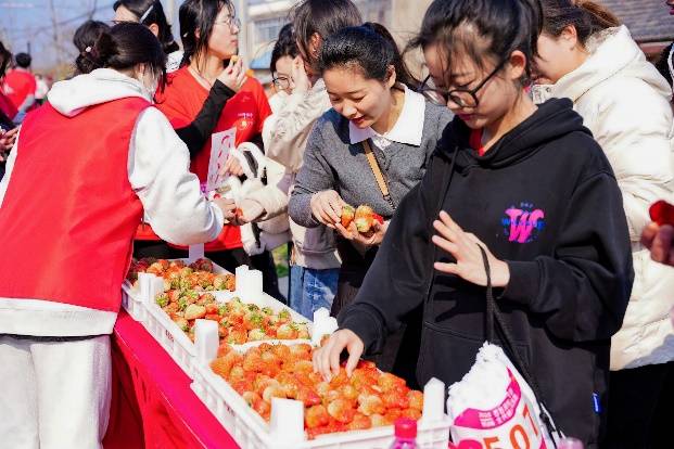 如图片无法显示,请刷新页面